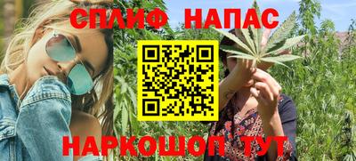 гидра Беслан