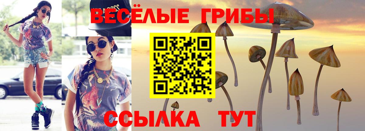 Галлюциногенные грибы Magic Shrooms Джанкой